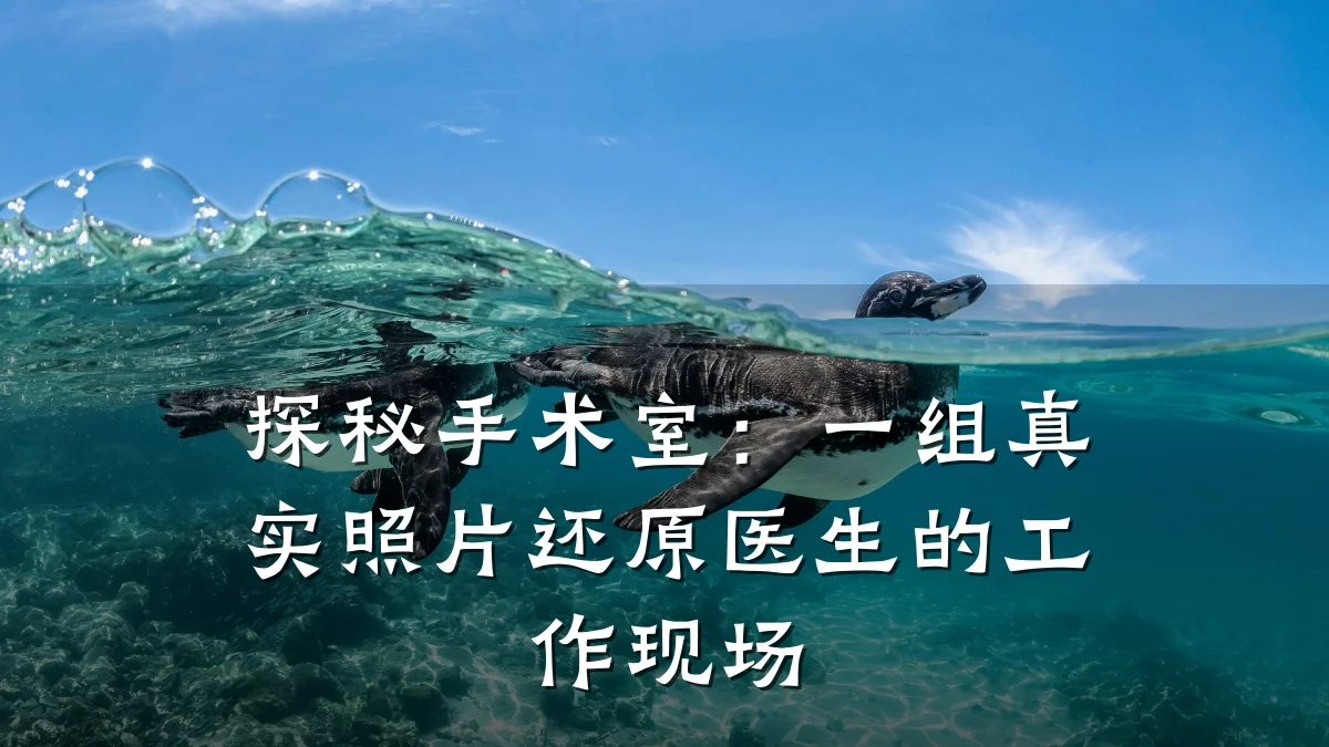 探秘手术室:一组真实照片还原医生的工作现场