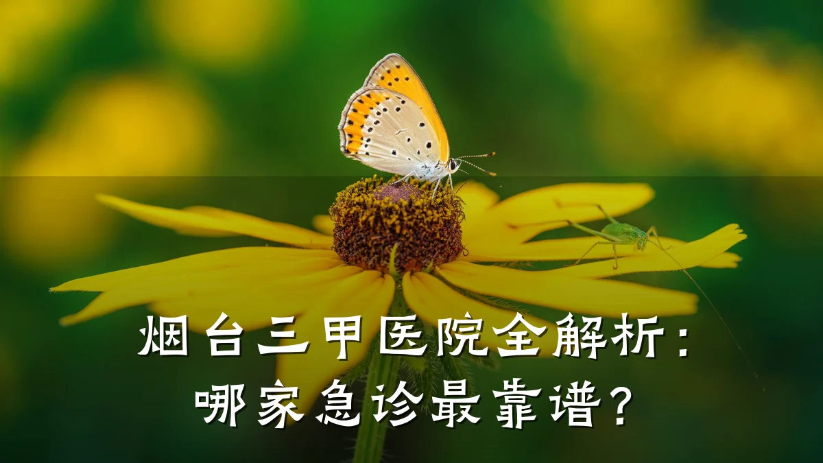 烟台三甲医院全解析:哪家急诊最靠谱?