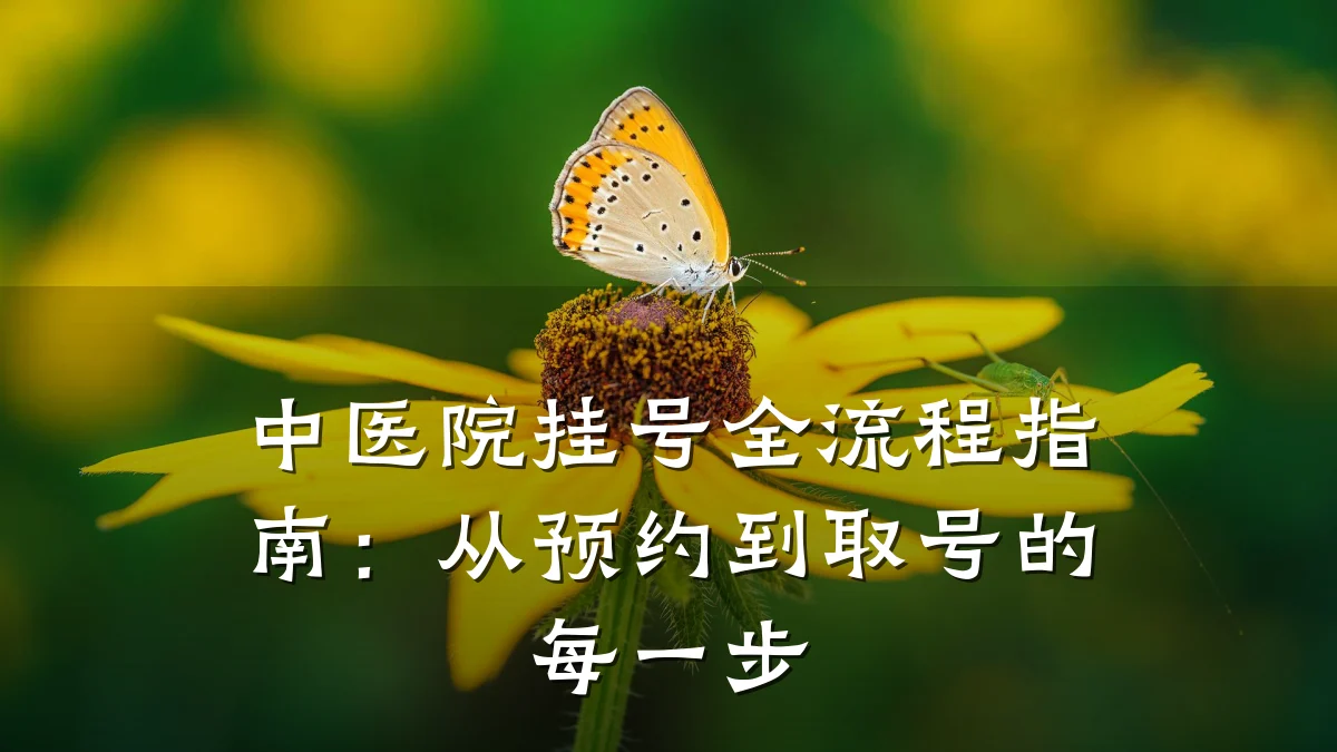 中医院挂号全流程指南:从预约到取号的每一步
