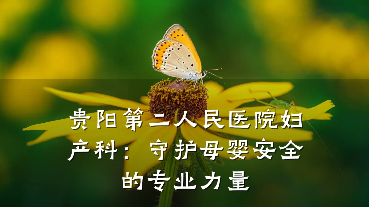 贵阳第二人民医院妇产科:守护母婴安全的专业力量