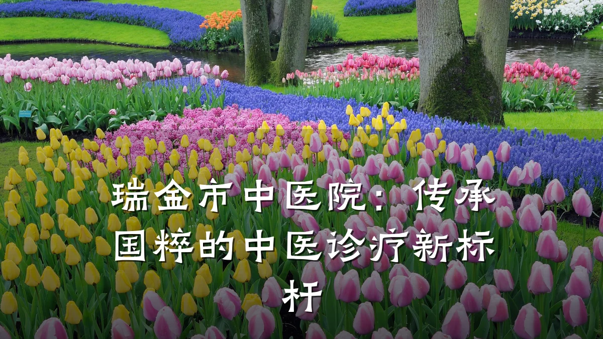 瑞金市中医院:传承国粹的中医诊疗新标杆