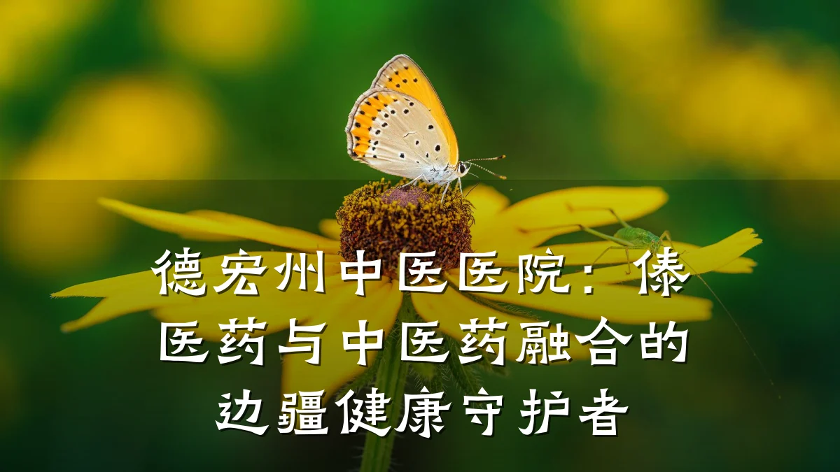 德宏州中医医院:傣医药与中医药融合的边疆健康守护者