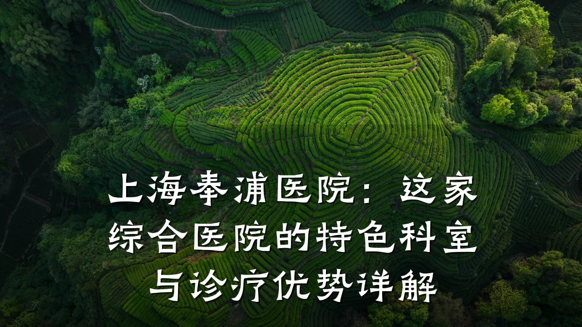 上海奉浦医院:这家综合医院的特色科室与诊疗优势详解