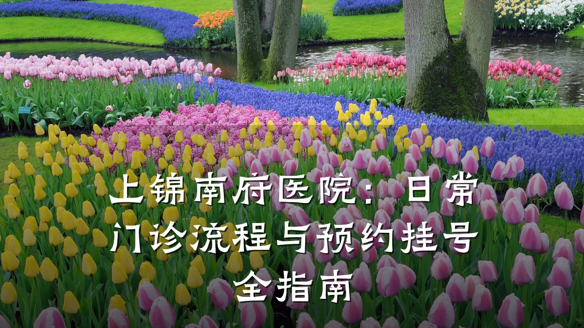 上锦南府医院:日常门诊流程与预约挂号全指南