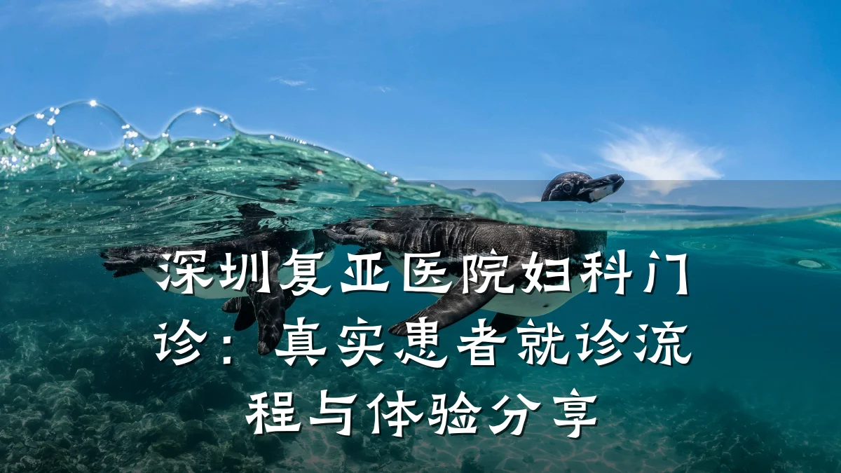 深圳复亚医院妇科门诊:真实患者就诊流程与体验分享