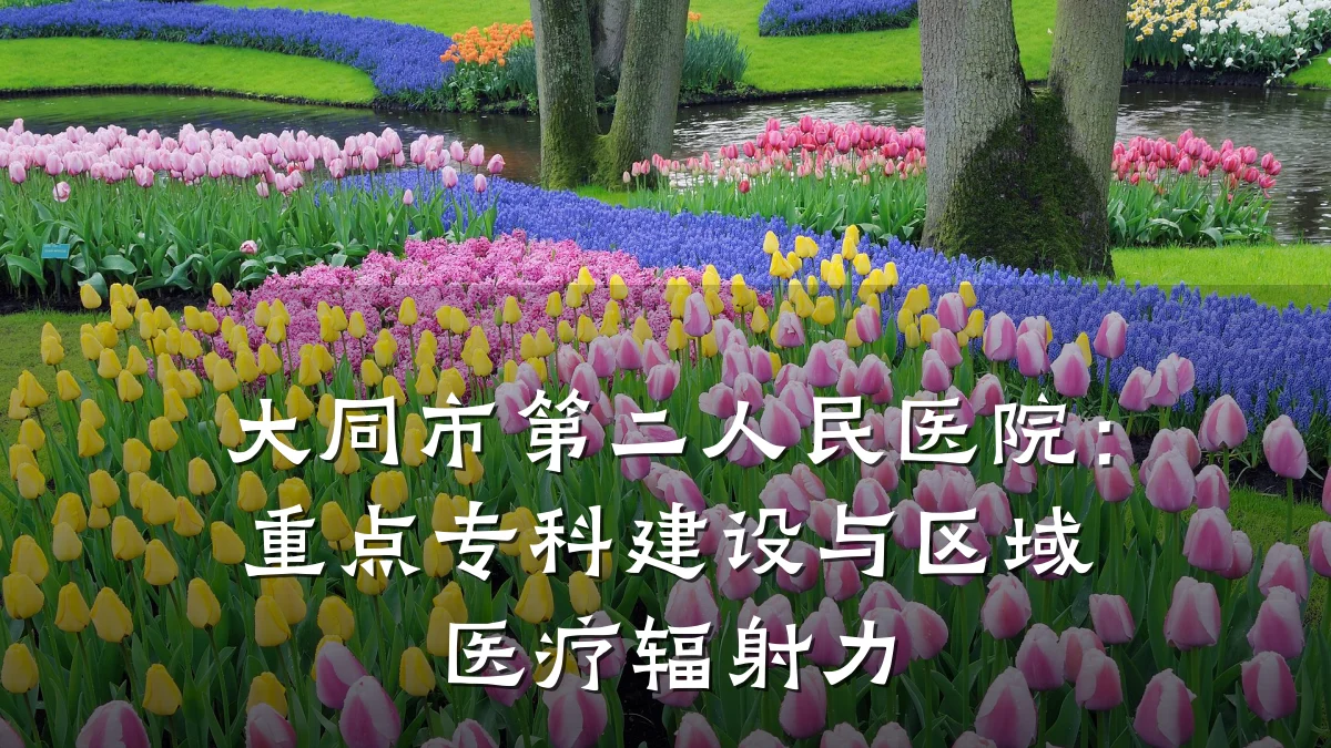 大同市第二人民医院:重点专科建设与区域医疗辐射力