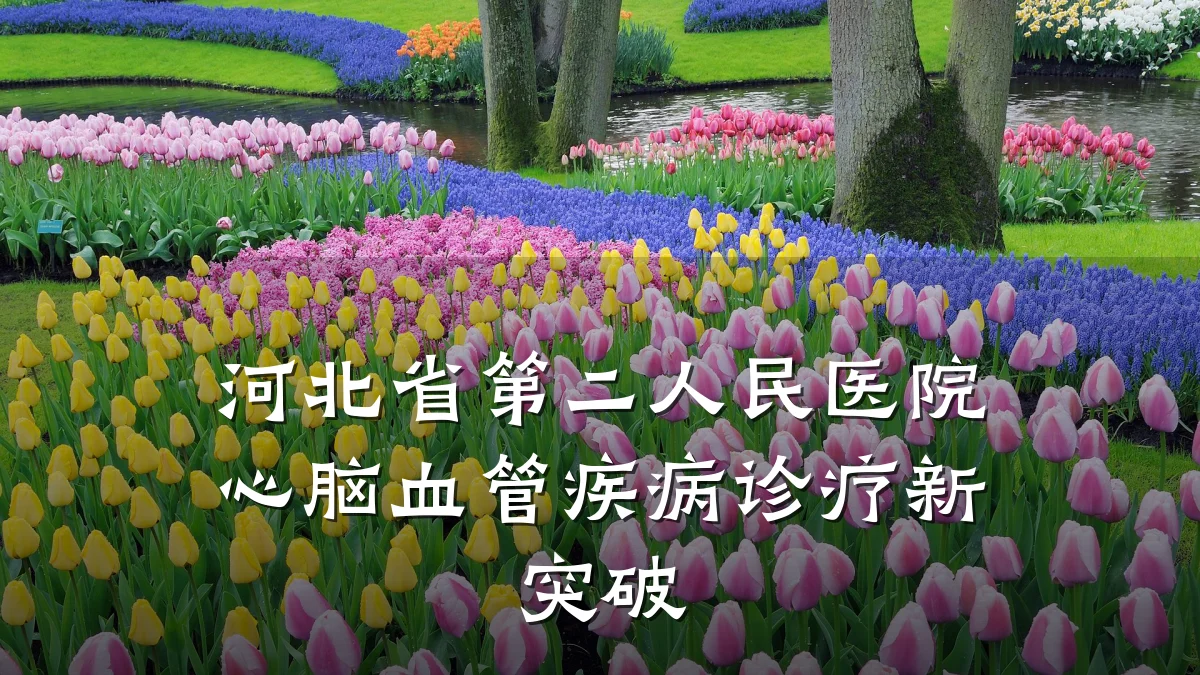 河北省第二人民医院心脑血管疾病诊疗新突破