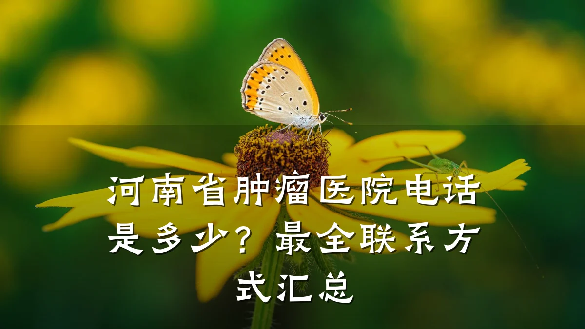 河南省肿瘤医院电话是多少?最全联系方式汇总