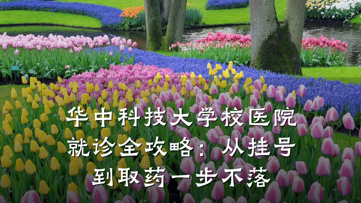 华中科技大学校医院就诊全攻略:从挂号到取药一步不落