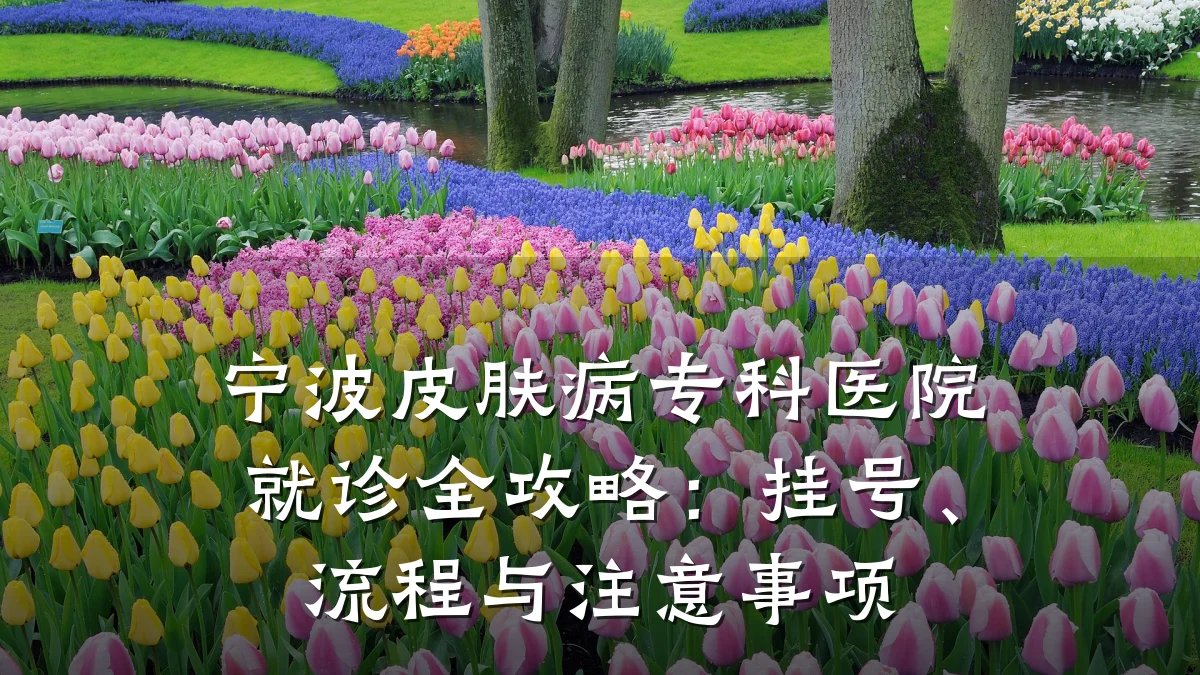 宁波皮肤病专科医院就诊全攻略:挂号、流程与注意事项