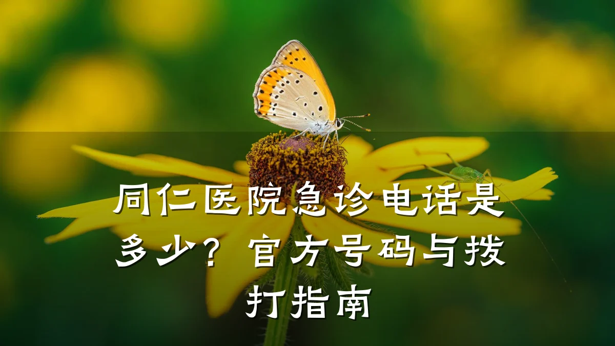 同仁医院急诊电话是多少?官方号码与拨打指南