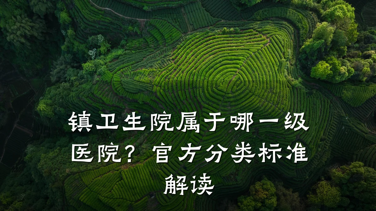 镇卫生院属于哪一级医院?官方分类标准解读